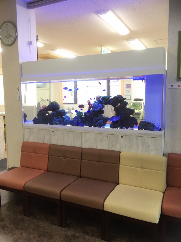 クリニック待合室　2mの海水魚水槽