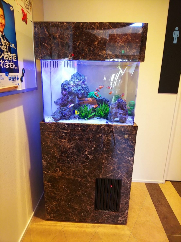 60cmの海水魚水槽 待合室