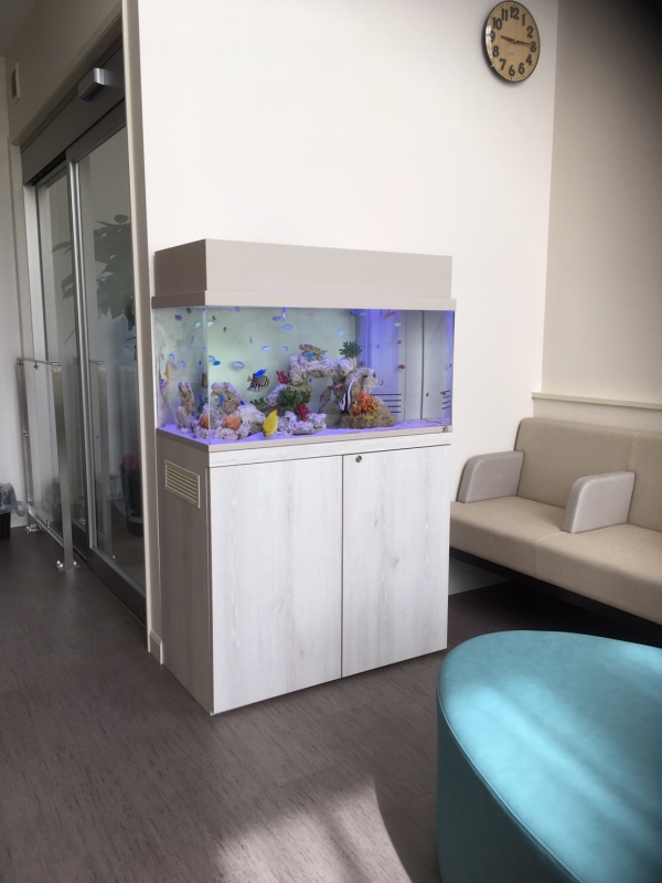 90cmの海水魚水槽 待合室