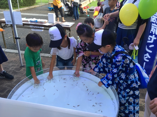 夏祭りイベント　ドクターフィッシュ