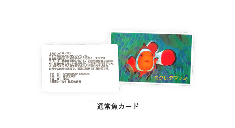 サービス 料金 海水魚アクアリウム 水槽のリースやメンテナンスはジャパンハンドコートマリンズ サービス 料金 海水魚アクアリウム 水槽のリースやメンテナンスはジャパンハンドコートマリンズ